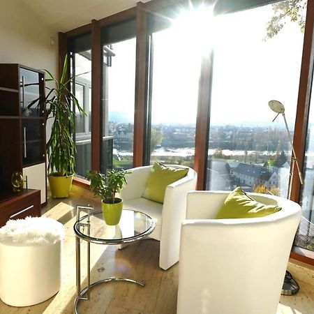 Apartament Vogelnest Pirna Zewnętrze zdjęcie