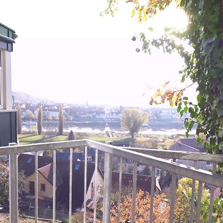 Apartament Vogelnest Pirna Zewnętrze zdjęcie
